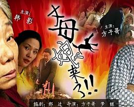 久久视频这里只有精品在线观看